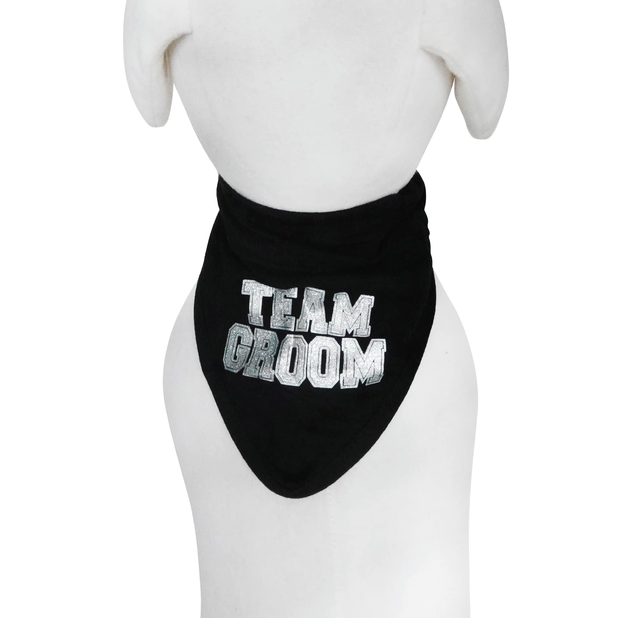 Best Furry Friends Black Team Groom Bandana Collar Slide